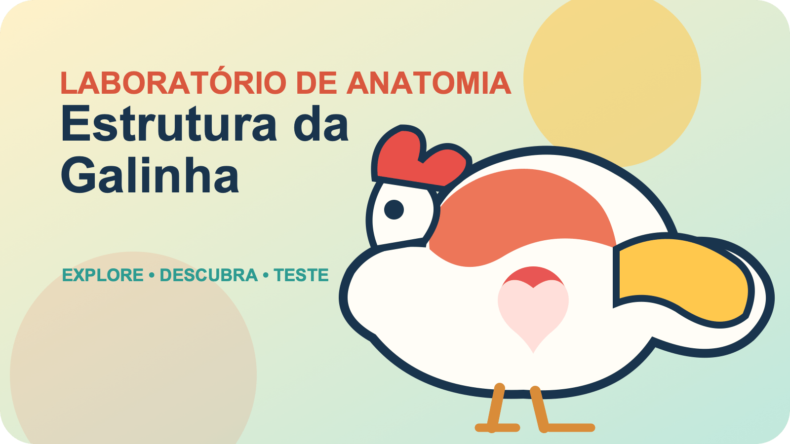 Chicken Anatomy, cover image