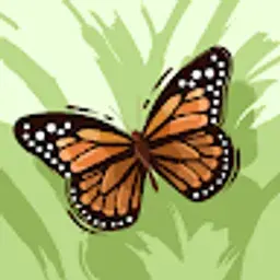 ayoubbulimia