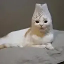 kuruokukuru