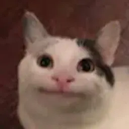 67