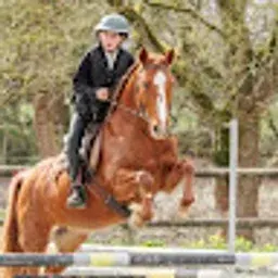 tom-et-kaptain