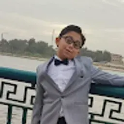 hamzaahmed2012015