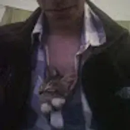 admcalorlatino