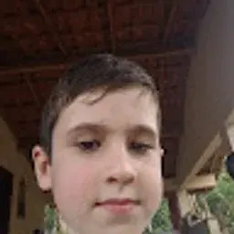 viniciuspartelli34