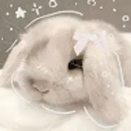 bunnihereualrknoww