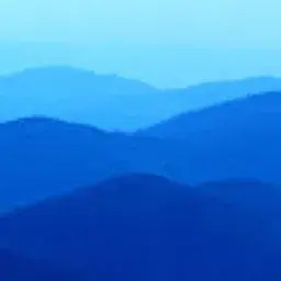 zaladhara88