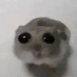 franiomlody17