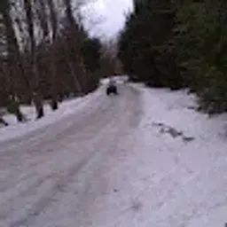 jmonticello95