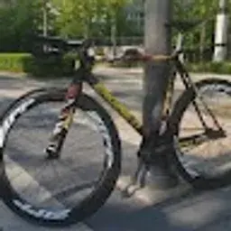 2025075
