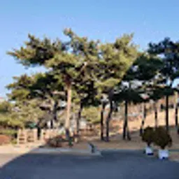 jeonsi0220