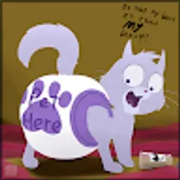 sunnycatfan234