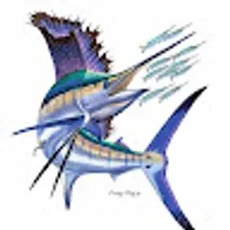 dododong76