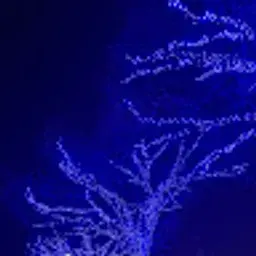 tnkrn09212007