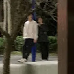 zhengdunyuan9