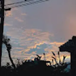iop20100429