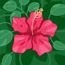 maximus_408