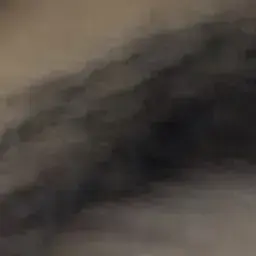 tonogaito1231